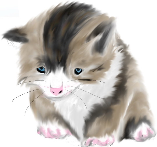 http://www.hamsteracademy.fr/forum/uploads/97158_petit_chat-tablette_graphique.jpg